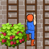 Игра Лестницы и цветы онлайн