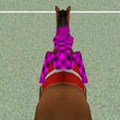 Игра Скачки на двоих лошадей онлайн